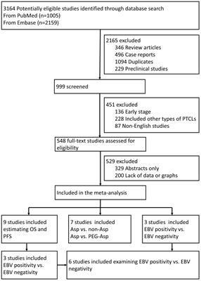 Challenges in overcoming advanced-stage or relapsed refractory extranodal NK/T-cell lymphoma: meta-analysis of individual patient data